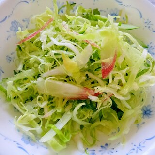 千切り野菜のサラダ